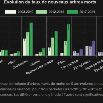 eec9b72a-ac3b-4786-8214-8b986a35c5fe La mortalité des arbres en hausse en France