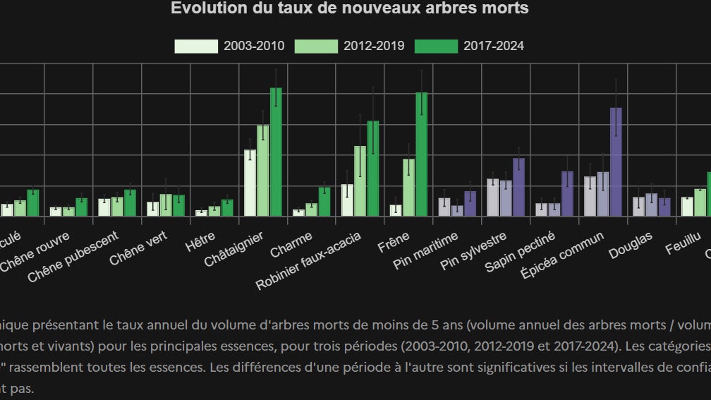 eec9b72a-ac3b-4786-8214-8b986a35c5fe La mortalité des arbres en hausse en France