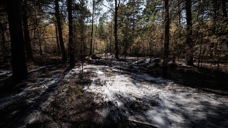 ef283c2a-3825-4028-a6c8-2ca61d5fc0e4 Les incendies de la forêt de Fontainebleau déclarés éteints après des semaines de surveillance