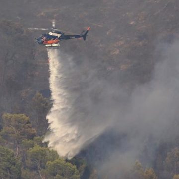 f69157b0-c6ba-40e8-895c-b57c34a3007b Alerte aux incendies en France : 39 départements en vigilance orange