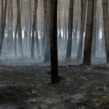 Alerte Sécheresse et Feux de Forêt en Gironde