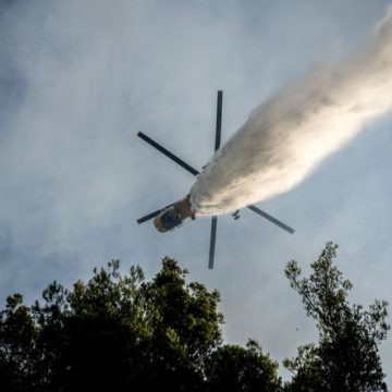 Incendies dévastateurs en Grèce : plus de 12 000 hectares brûlés
