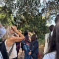 Découverte des oiseaux de Paris au Festival du Monde