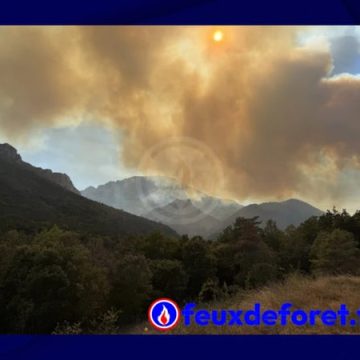 Incendie à Puilaurens : des dizaines de personnes évacuées