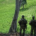 Un soldat de la Légion étrangère échappe à ses ravisseurs en Colombie