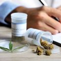 Les défis de l&rsquo;autorisation du cannabis médical en France