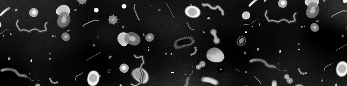339c95bf-26f7-43b8-8cc5-af44f2248e6d Trois récits horrifiques explorant le thème du parasite