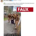 Vérification des images de mobilisations forcées en Ukraine