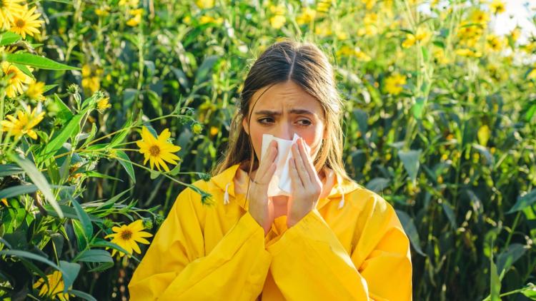 378a87bb-b7cc-493f-a3ba-1fb722951bda Comprendre les origines des allergies environnementales après la grossesse