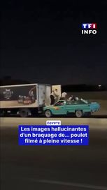 4cce8961-44ca-42c4-bf5c-e134c5161d7a Braquage de poulet sur une autoroute égyptienne