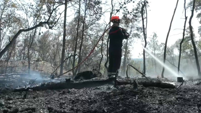 4df37411-2aa9-4db0-83f5-9d4eb9b0f25c Incendie au sud de Perpignan : 35 hectares touchés