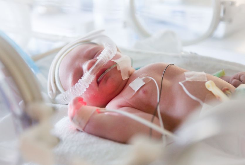 premature newborn baby in incubator Le suivi des enfants nés prématurément en France
