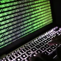 Une cyberattaque cible l&rsquo;Armurerie Lavaux