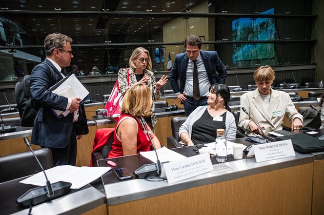 58cf1e95-bf86-4925-99d6-8bc0363d2e91 La lutte contre les violences sexistes et sexuelles: une proposition de loi ambitieuse