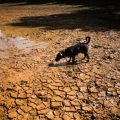 El Niño : une menace croissante en 2026