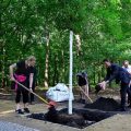 Vandalisme au parc Tiergarten : l&rsquo;arbre commémoratif de la Marche des fiertés de Berlin arraché
