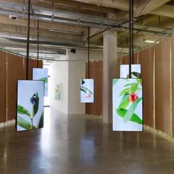 Exposition « Le Singe et l’Argile » à Cognac