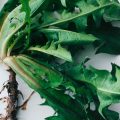 Des recettes pour sportifs riches en nutriments
