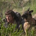 La présence canine dans le cinéma américain : de la solitude à la nouvelle masculinité