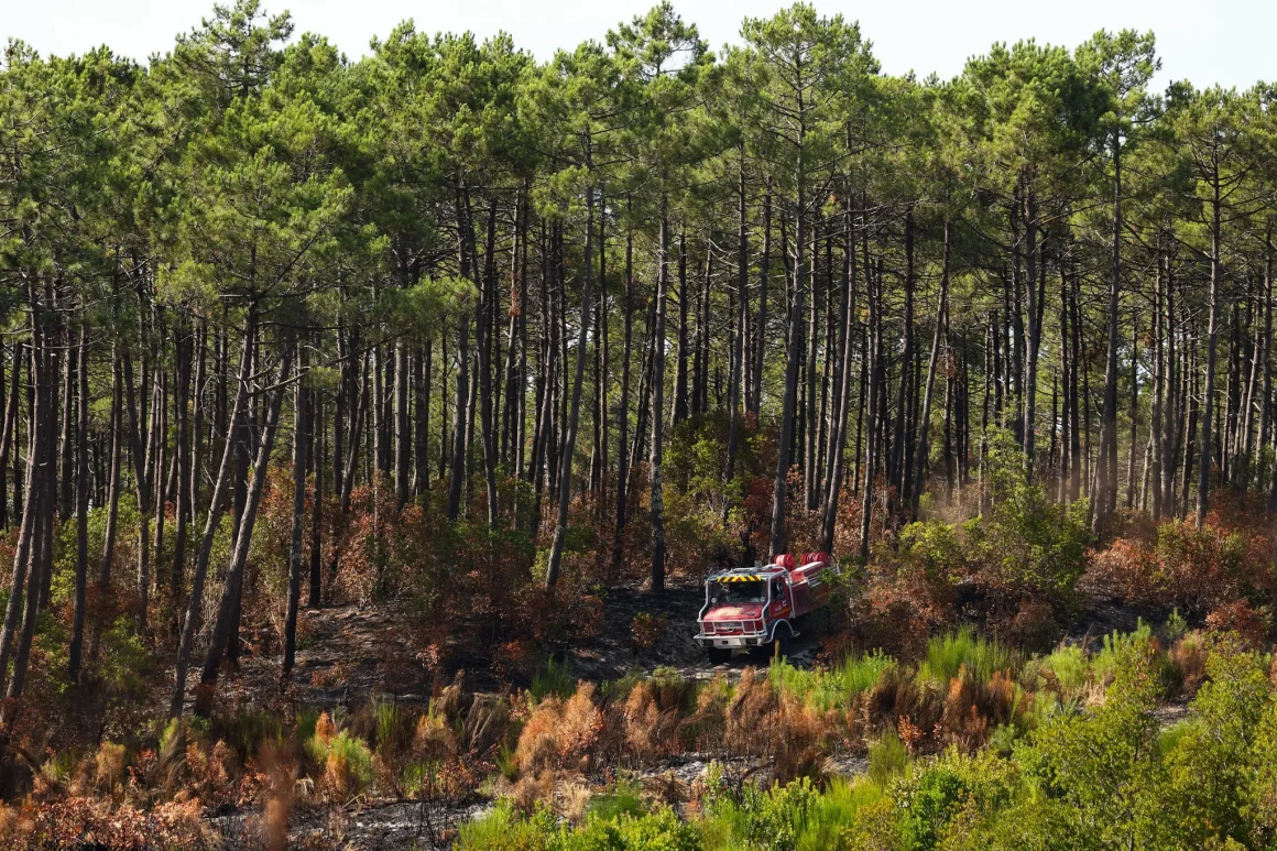 7730eeeb-7363-4408-aae2-25c5ce717f63 Le ravage des incendies sur les recherches forestières en Gironde