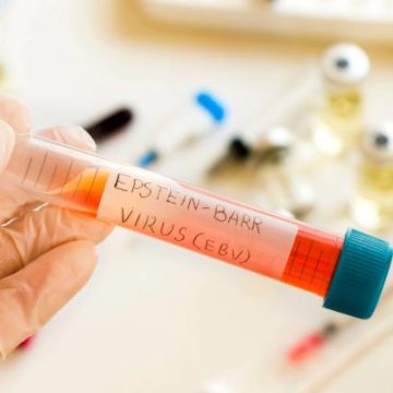 7c5098a3-507e-4d2c-ad58-7c68c76a8e6f Les infections responsables d’un nombre important de cas de cancer dans le monde