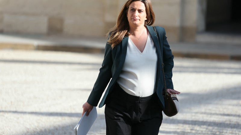 81e184e6-6b37-4674-a183-0059f58efb68 Marine Tondelier : Naissance, Écologie et Engagement Politique