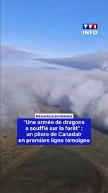 83b4b4a4-c98e-4bc7-ad90-592b79de2676 « Une armée de dragons a soufflé sur la forêt » : un pilote de Canadair témoigne