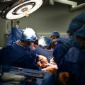 Les nouvelles orientations du CCNE sur les dons d&rsquo;organes et xénogreffes