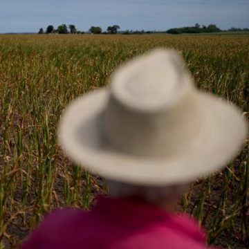 Critique de Pampa par Eduardo F. Varela
