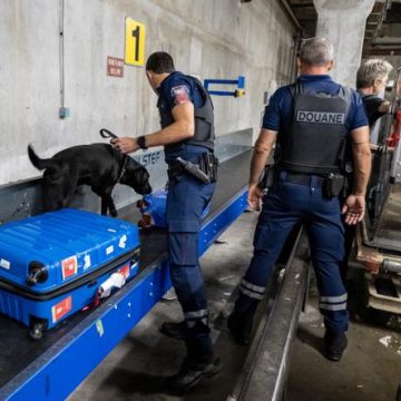 Augmentation du trafic de cannabis en provenance de Thaïlande