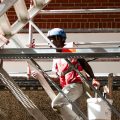 Projet de l&rsquo;Union sociale pour l&rsquo;habitat face aux canicules