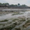La crise de l&rsquo;eau de la Garonne: impacts et mesures face au changement climatique
