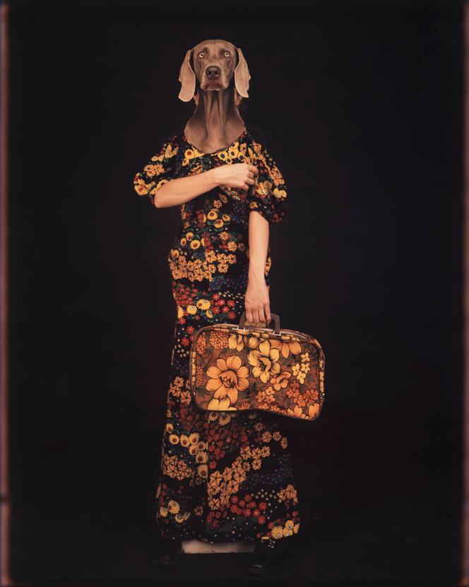 bea242ea-90ad-4867-9c34-1d6e0f6cc06d Expositions Artistiques de l’Automne