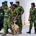 Condamnations après les attentats de Pâques 2019 au Sri Lanka