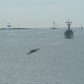 Un drone présumé russe repêché en mer Baltique près de la Pologne