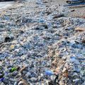 Mobilisation dans le Finistère pour un Littoral Propre