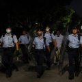 Chien errant impliqué dans un incident tragique à Hongkong