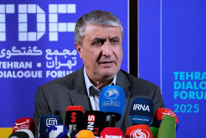 d0b24718-3dd8-41ef-8f7c-77317f9d4963 Mohammad Eslami Interdit d’Accès au Siège de l’AIEA