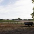 Le vignoble bordelais confronté aux défis du climat