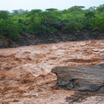 d38587f4-f78d-4ce9-bf33-13b5ee7a2d73 Les impacts d’El Niño sur l’Afrique de l’Est