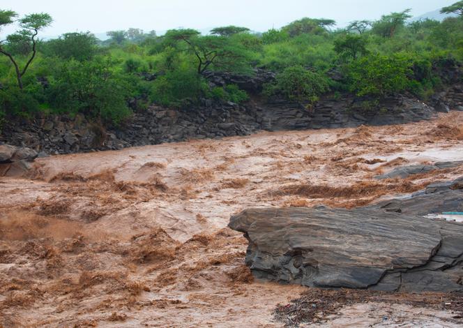 d38587f4-f78d-4ce9-bf33-13b5ee7a2d73 Les impacts d’El Niño sur l’Afrique de l’Est