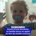 Appel au don de moelle osseuse pour Gabin, atteint de leucémie