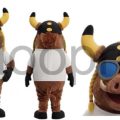 Fraude à la mascotte : 80 000 euros envolés