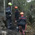 Interdiction de chasse dans le Var après les incendies de l&rsquo;été