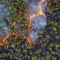 Collaboration spatiale entre Eutelsat et OroraTech pour la détection des incendies