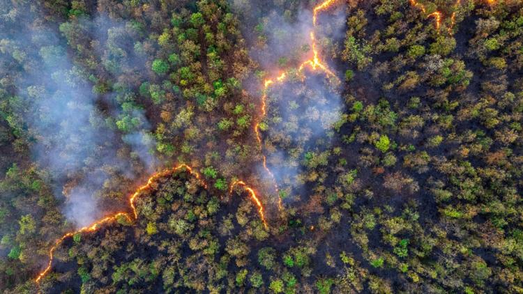 e60e96c4-88a2-4c9e-b687-12379e153cb9 Collaboration spatiale entre Eutelsat et OroraTech pour la détection des incendies