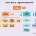 Pollution des Drogues de Synthèse et Ses Impacts Environnementaux
