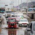 Effets dévastateurs d&rsquo;El Niño sur l&rsquo;écosystème marin péruvien
