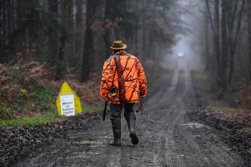Reportage avec l'office français de la biodiversité La Coexistence Difficile des Activités en Plein Air et de la Chasse