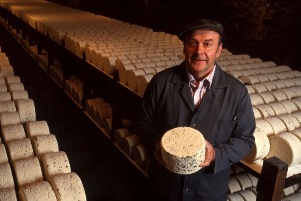 0de194c7-ce7d-4d88-9cc3-43474e225410 Analyse des microorganismes dans les fromages suisses